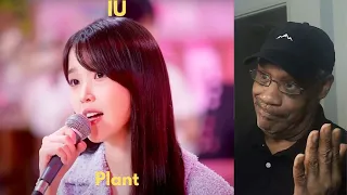 Music Reaction | IU - Plant (Sejeong) IU's Pallete | Zooty Reactions