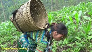 Primitive Life OFF GIRD LIVING -  Aboriginal Guy Meet Girl Survival Working on The Farm Forest