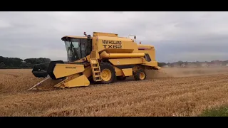 Dreschen mit New Holland TX 62