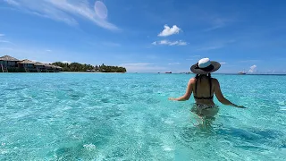 Vilamendhoo Island Resort and Spa - May 2021 : snorkeling in the Maldives