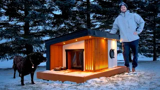 Building a HEATED DOG HOUSE for Canadian Winters