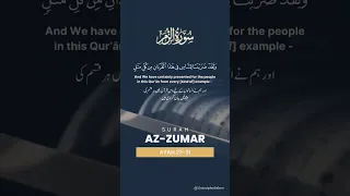Surah Az-Zumar Ayaat 27-31  #quran #quranrecitation #realmotivaion #drisrarahmed #sahiladeem #islam