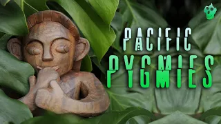 Pacific Pygmies - Cryptozoology Documentary 2023