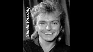 David Cassidy In Memoriam .. Died November 21, 2017