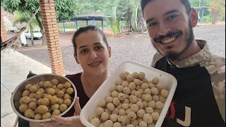 BOLINHO DE FILÉ DE TILAPIA, UMA RENDA A MAIS PRA VOCÊ.. Rapido e facil de fazer