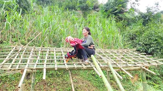 20 Year Old Single Mother - Harvesting Banana Balls Goes to the market sell - Making a Bamboo House