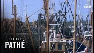 Scottish Fishing Boats (1971)