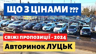 ЩО КУПИТИ на ЛУЦЬКОМУ АВТОРИНКУ в НОВОМУ РОЦІ? /// 4.01.2023 р. #автобазар  #автопідбір #авторинок