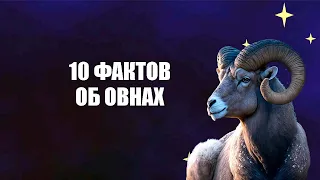 ОВЕН - 10 Фактов об этом знаке.