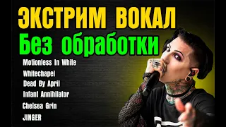 ЭКСТРИМ ВОКАЛ БЕЗ ОБРАБОТКИ/motionless in white/Jinjer/Whitechapel/infant annihilator/Chelsea Grin