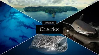 COCOS – THE ISLAND OF SHARKS