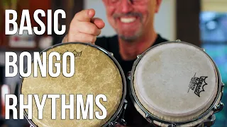 How to Play Bongo Drums: Basic Martillo for Beginners!