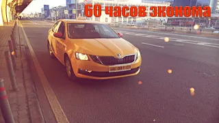 60 часов в Яндекс Эконом. Таксопарк Крафт. Skoda Octavia/StasOnOff
