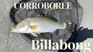 The Iconic Corroboree Billabong