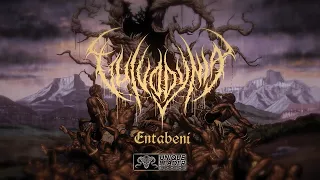 Vulvodynia - Entabeni (Official Lyric Video)