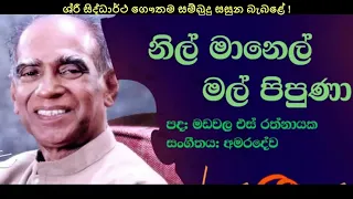 මහා වෙසක් සතිය 2023 සිංහල අක්ෂර වින්‍යාසය Maha Wesak Week 2023 Sinhalese language