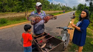 Amazing!! Best Road Fish Cutting Skills in Sri Lanka Village Man Excellent Fish Cutting Style