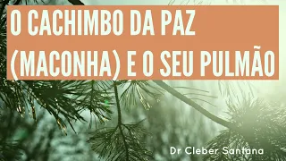 Maconha (marijuana) causa problemas a saúde? VEJA | Dr Cleber Santana