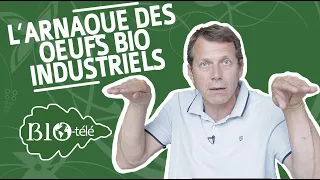 L' ARNAQUE DES OEUFS BIO INDUSTRIELS