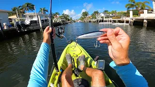 Dock Fishing Tiny Saltwater Canals - Fishing Boca Raton FL