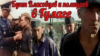 Бунт власовцев и полицаев в ГУЛАГЕ. Чем это закончилось?  Сталинские репрессии - военные истории