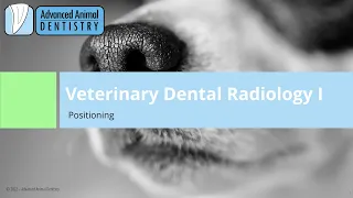 AAD Dental Radiology Webinar S02E01