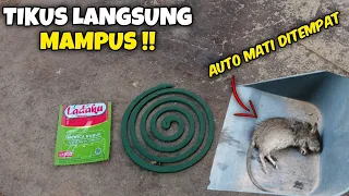 TIKUS Langsung Mampus !! Buruan Buat Racun Tikus Paling Ampuh Dan Terbukti !!