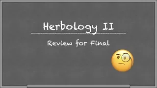 Herbs 2 Review: All Categories (Review for Final)