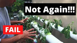 NFT Failure, Not Again / DIY Hydroponics