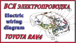 RAV4 2020 Electric wiring diagram  Схема электропроводки