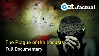 Locusts: a Trail of Destruction | Full Documentary