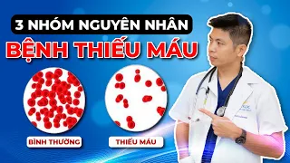 3 Nhóm Dấu Hiệu Cho Thấy Bạn Đang Mắc Bệnh Thiếu Máu | Dr Ngọc