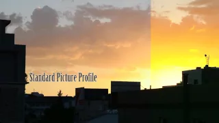 Flat Picture Profile vs Standard (Nikon DSLR)