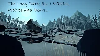 The Long Dark Ep: 1 Whales, Wolves and Bears...