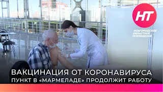 В Новгородской области продолжается вакцинация от коронавируса