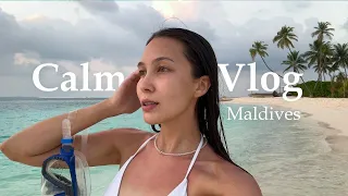 CALM VLOG: let's go to the ocean together! A place that fell in love with... Maldives