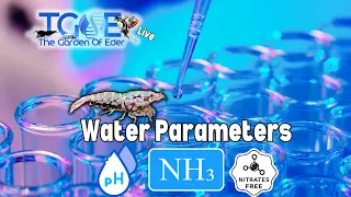 Water Parameters