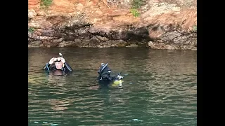 Episode 11 - Smith Mountain Lake, VA - Diving to See Fish Habitat