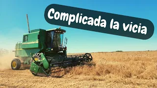 COSECHA de VICIA con la JOHN DEERE 1175 y la 9570