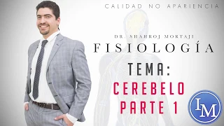 Anatomía | Fisiología Cerebelo 1/3 | Neuroanatomía, histología, divisiones y vías