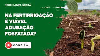 NA FERTIRRIGAÇÃO É VIÁVEL ADUBAÇÃO FOSFATADA?