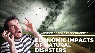 The Economic Impact of Natural Disasters and Environmental Issues