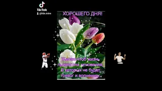 Доброе утро, счастливого дня, прекрасного настроения!!!