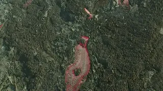 Vuelo de dron | Volcán La Palma | 18/11/21 - 10:00h