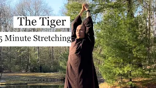 Qigong The Tiger | 5 Minute Stretching Arms, Heal Neck and Lower Back