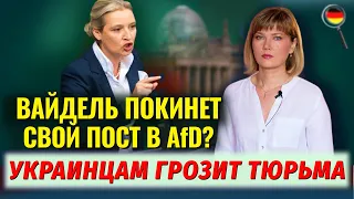 Вайдель покинет AfD/Еще больше беженцев/Фейки/Афера украинцев