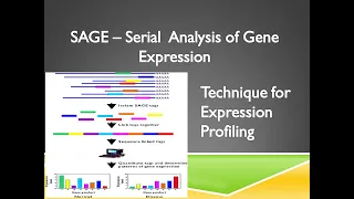 SAGE - Serial Analysis of Gene Expression