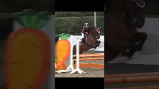 Jumping at Scope Festival 2023 #horse #equestrianrider #equestrian #horseriding #equestrianlife