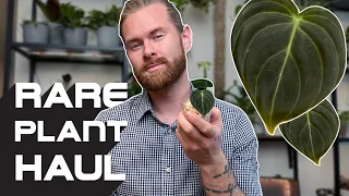 RARE & UNCOMMON HOUSEPLANT HAUL 2021 | My growing plant collection