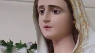 Our Lady of Fatima  (Miraculous Statue)  Dundalk Rosary Centre 2009